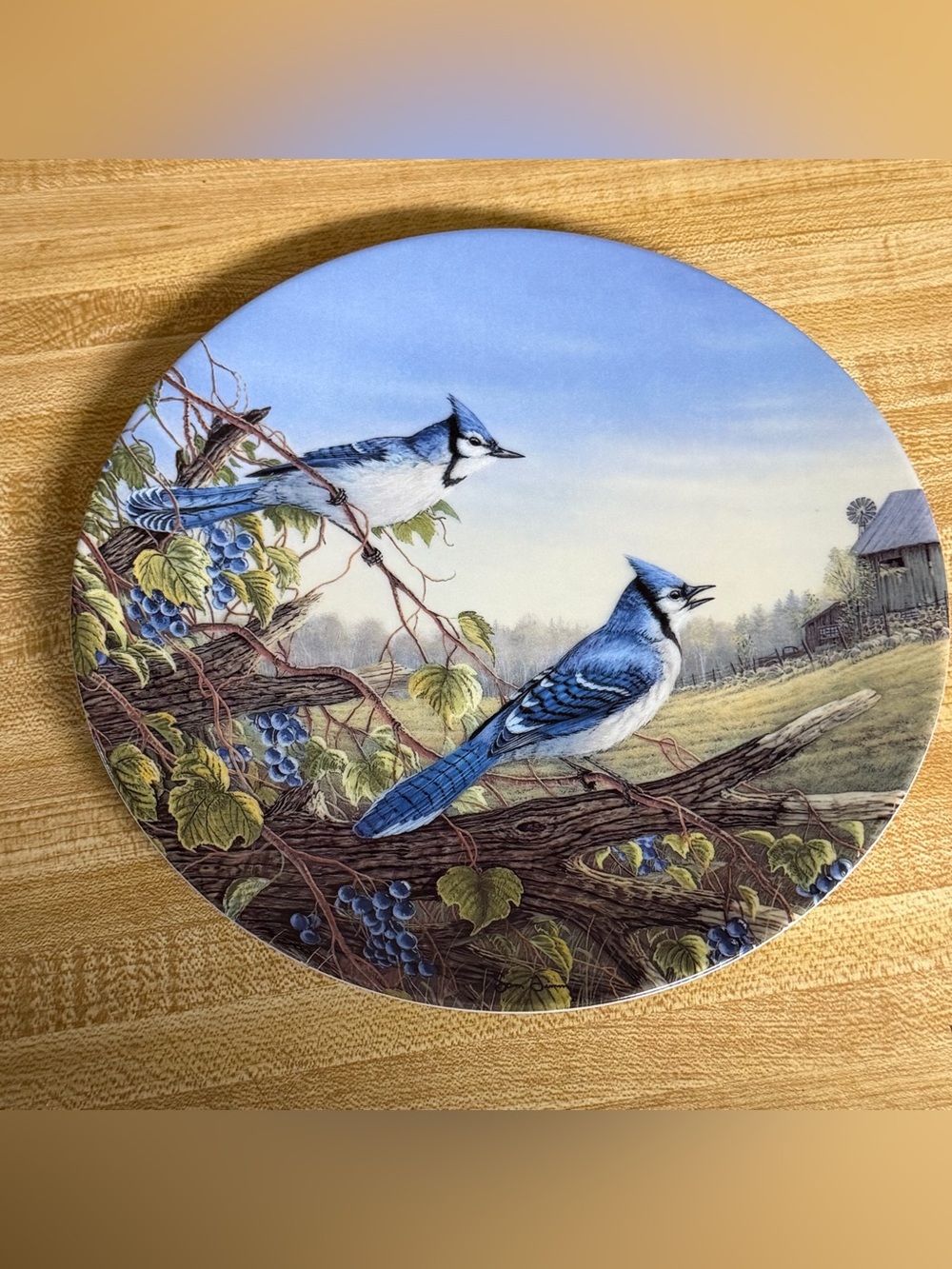 Vintage 1991 "Blue Jay in early fall" Decorative Plate Bird Artwork Knowles